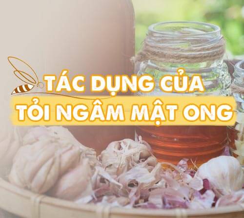 Tác dụng của tỏi ngâm mật ong
