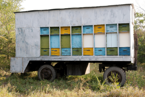 Chi phí vận chuyển và phân phối mật ong