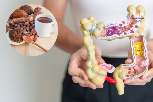 Cách uống bột ca cao trước khi ngủ để mang lại hiệu quả tốt nhất