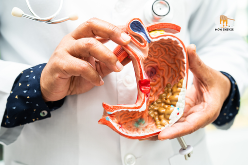 Lợi ích cho hệ tiêu hóa khi uống bột ca cao trước khi ngủ