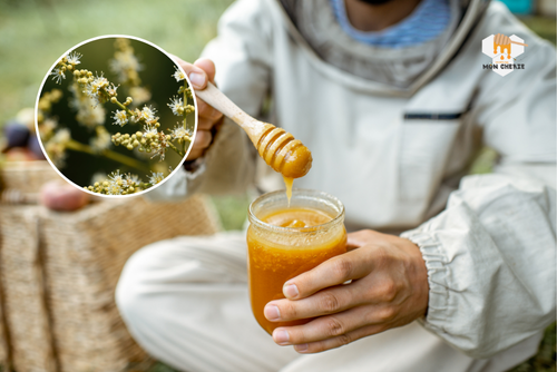 Tác dụng của mật ong hoa nhãn đối với sức khỏe