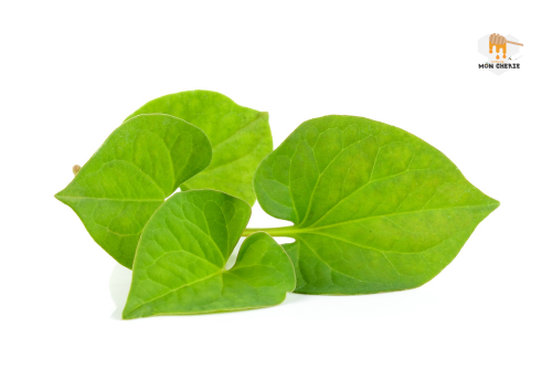 Thành Phần Dinh Dưỡng Có Trong Rau Diếp Cá
